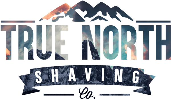 True North Logo